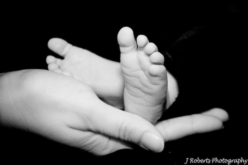 Newborn babies feet in mothers hand - newborn baby portrait photography sydney